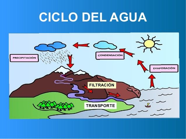 O Ciclo d'água, The water cycle for schools, Portuguese